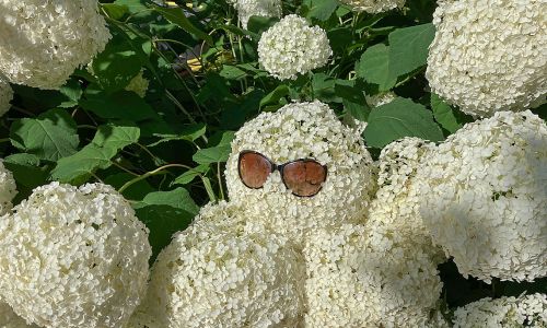 Zomer, vekoeling en gedachten