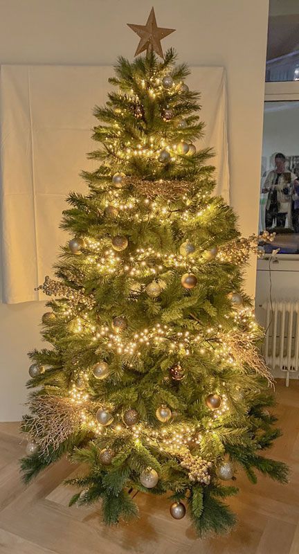 Fijne feestdagen en een gelukkig 2024!